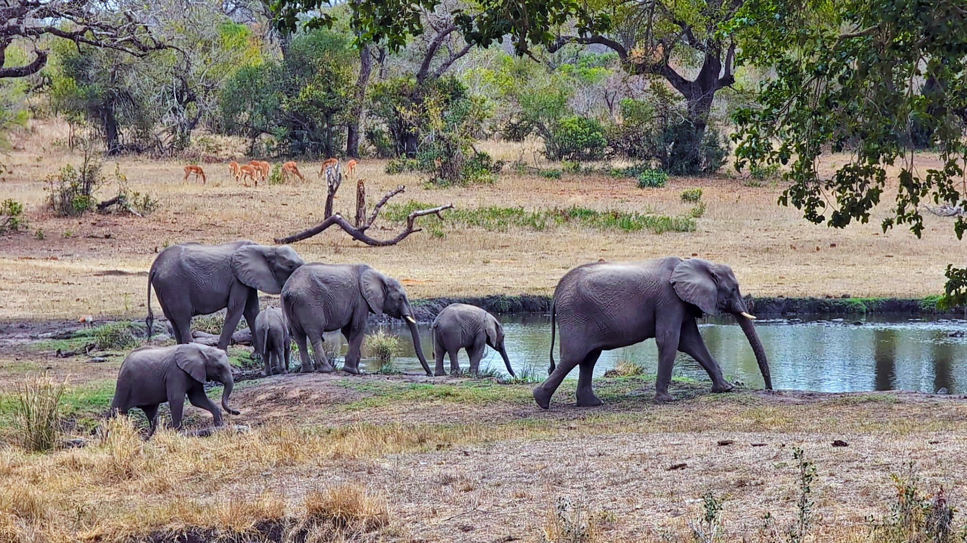 A photograph showing the Amazing Ntaba Experience