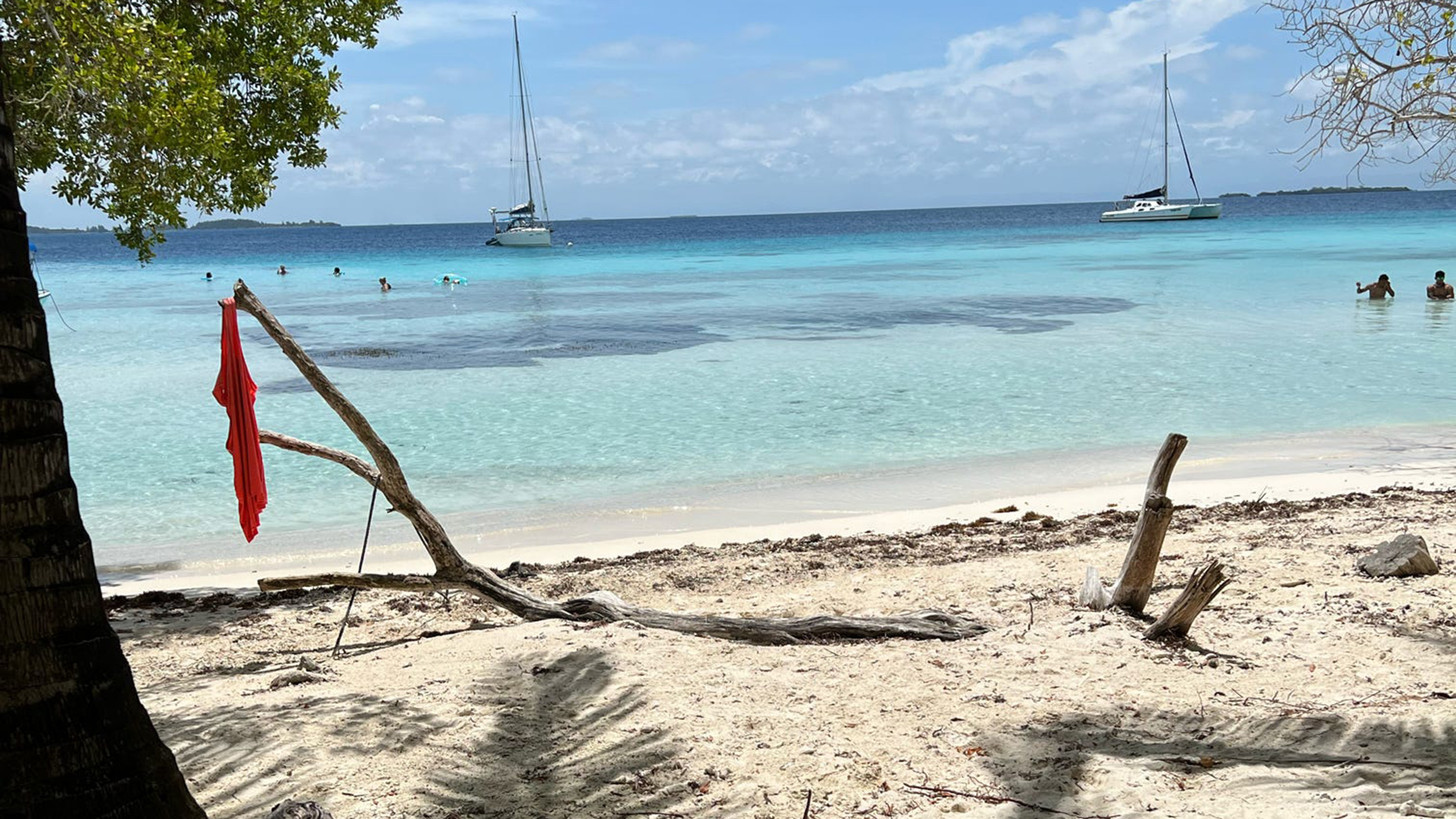 A photograph showing the Amazing Sirenian Bay Experience